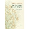 El infinito en un junco