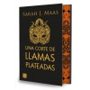 Una Corte de llamas plateadas 5