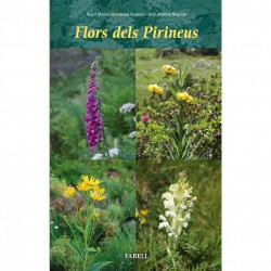 Llegendes de Cerdanya